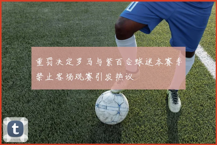 重罚决定罗马与紫百合球迷本赛季禁止客场观赛引发热议