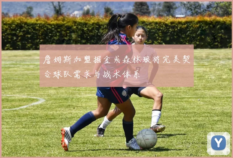 詹姆斯加盟掘金或森林狼将完美契合球队需求与战术体系